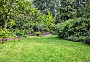 Optimiser l'expérience du jardin à Haute-Avesnes